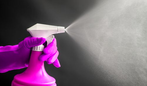 How to stop mold from growing on walls