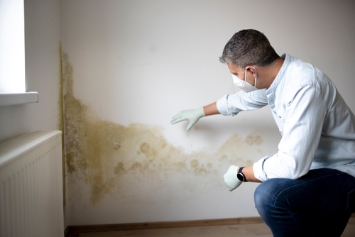 How long do you have to be exposed to mold to get sick