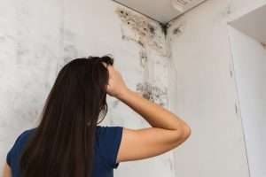 What are the main types of mold