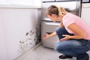 Is there such a thing as old mold
