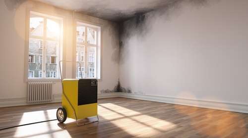 Who offers the best water damage restoration services in Mission Valley