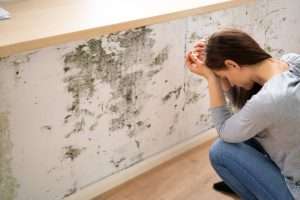 3 Common Questions About Mold