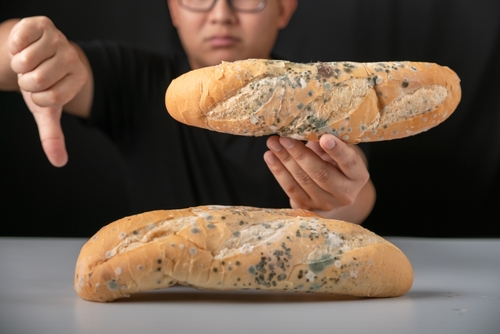 How to prevent mold on food