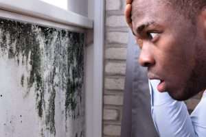 What is considered severe mold