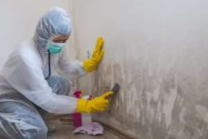 mold restoration hillcrest
