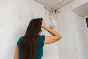 How do you repair mold damage