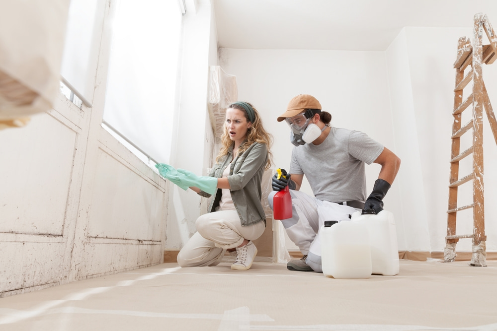 dealing with mold damage in San Marcos, CA