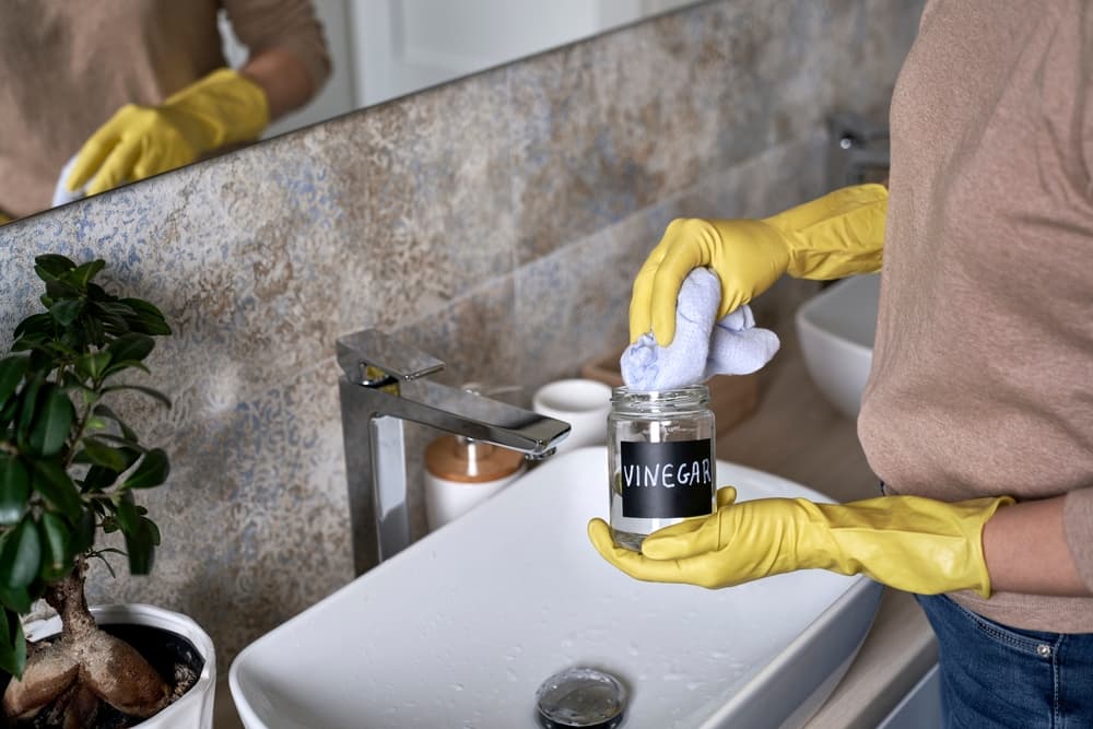 mold remediation san marcos