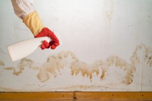 How do you know if water damage is serious