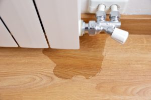 Is water damage a concern during a mild winter