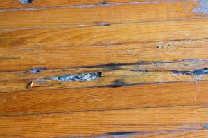 How do you tell the difference between water damage and mold on hardwood floors