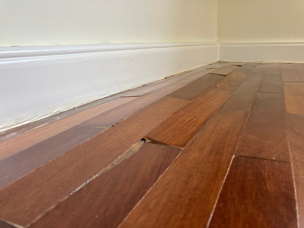What questions should I ask a water damage company