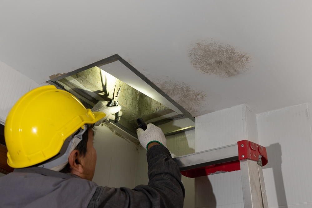 best water damage company in San Diego, CA
