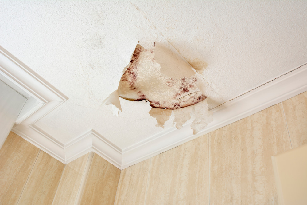 How to tell old vs new water damage