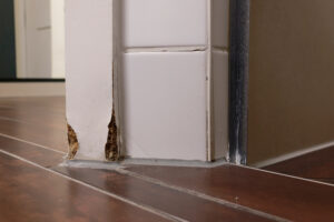 immediate water damage restoration in San Diego