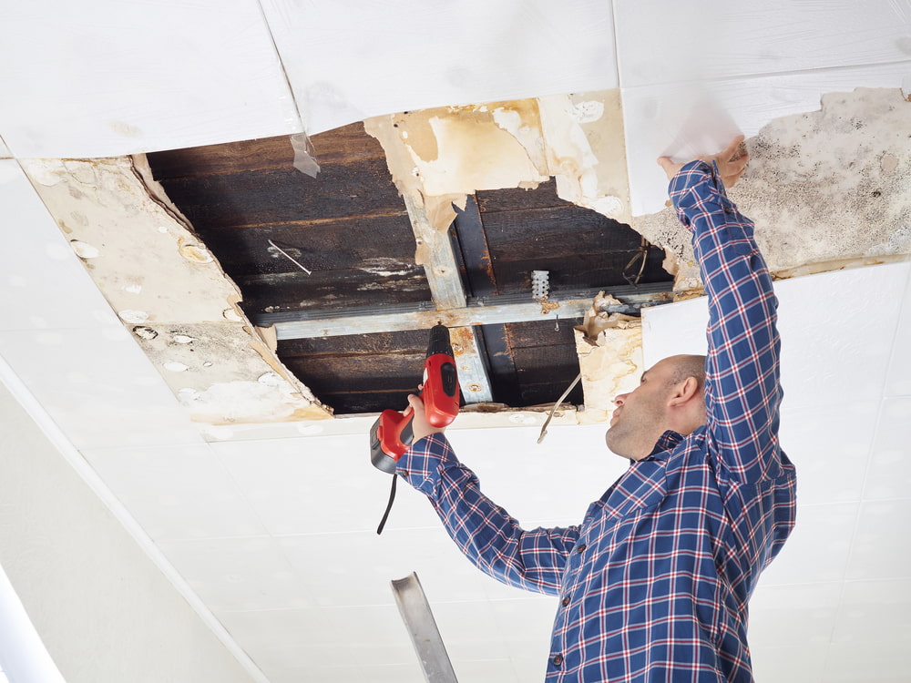 top-rated water damage repair in San Diego