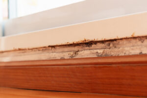 Why are older homes more vulnerable to water damage