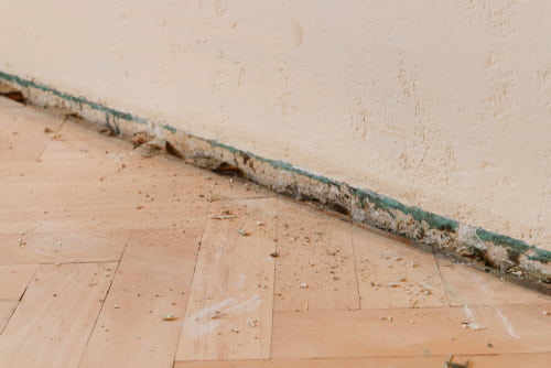 flood damage cleanup in clairemont the overlooked areas homeowners miss first