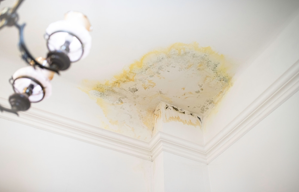 What are the signs of hidden mold from a bathroom leak