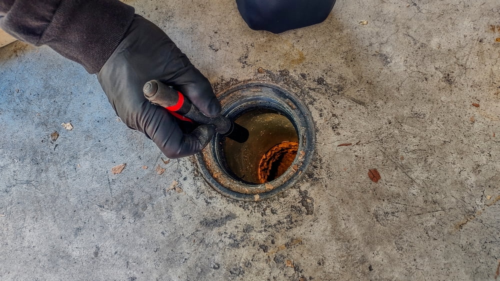 What happens during professional sewage cleanup?