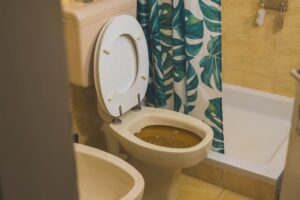 What to do when sewage backs up?